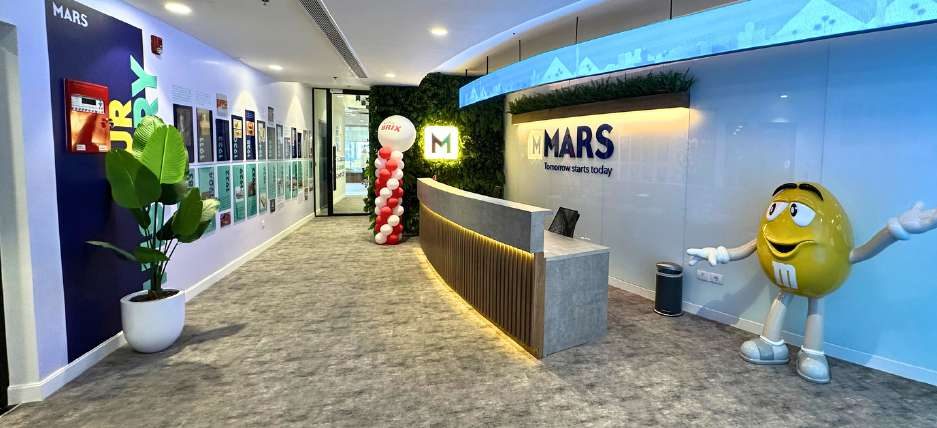 Office branding wall graphics